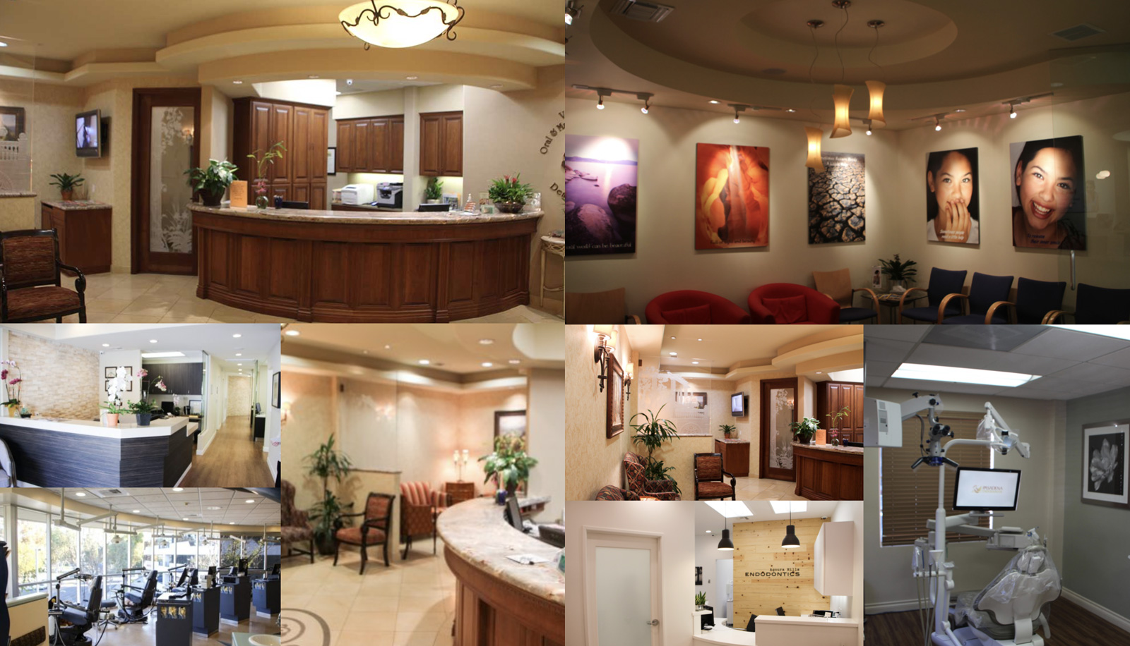 Dentist in